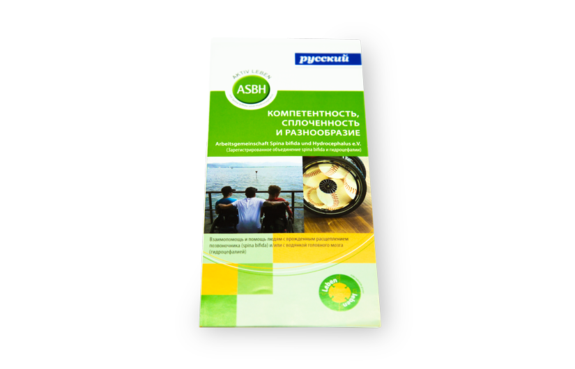 Flyer - Mit Kompetenz, Gemeinsamkeit und Vielfalt (Russisch)