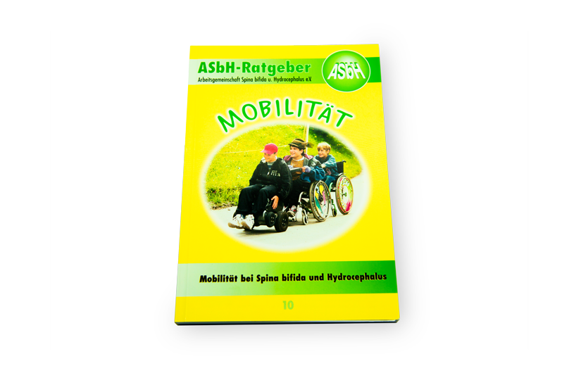 ASBH Ratgeber "Mobilität"