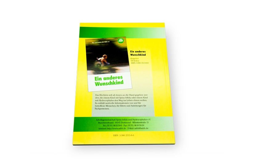 ASBH Ratgeber „Physiotherapie und Orthesenversorgung bei Spina bifida“