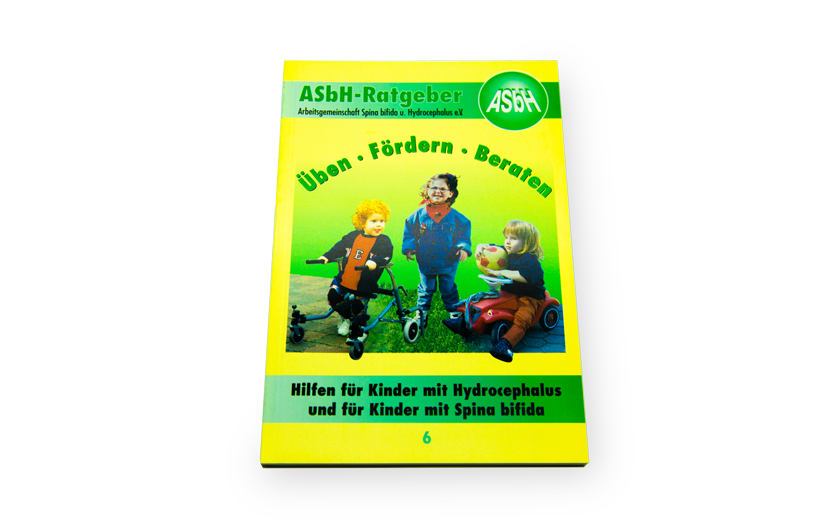 ASBH Ratgeber „Üben, Fördern, Beraten“