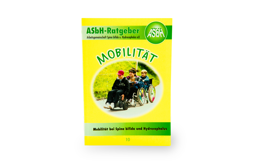 ASBH Ratgeber "Mobilität"